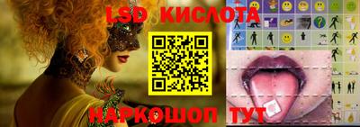 шишки Будённовск