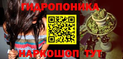 шишки Будённовск