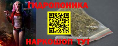 шишки Будённовск